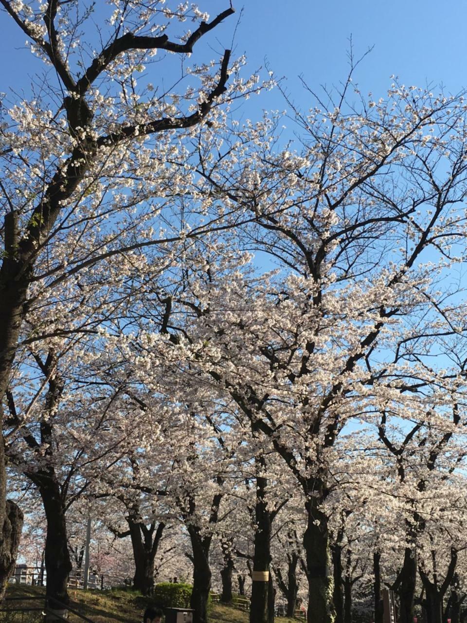 Nakadaya Präfektur Tokio